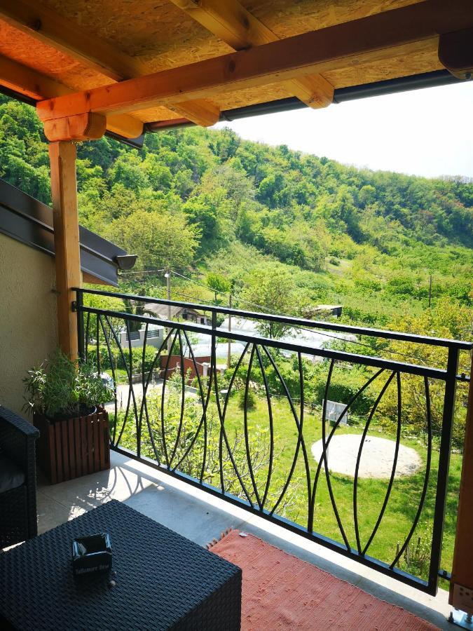 Apartman Snezana Jugovo สเมเดเรโว ภายนอก รูปภาพ